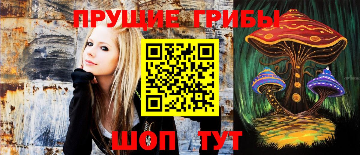 Галлюциногенные грибы GOLDEN TEACHER  Вход с VPN  Нижнекамск  Галлюциногенные грибы Psilocybe 
