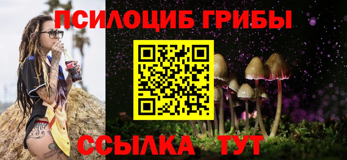 Псилоцибиновые грибы мицелий Нижнекамск
